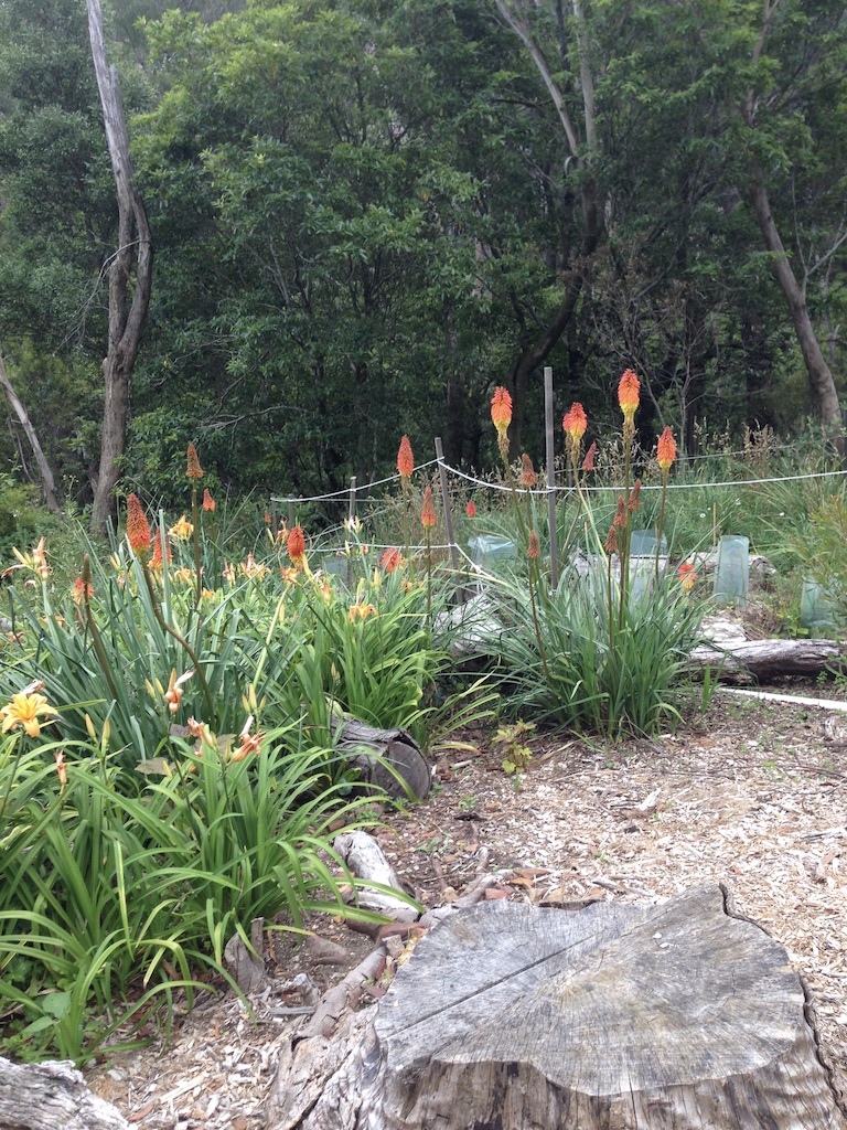 Beautifully landscaped heritage gardens with flowering plants and stone pathways