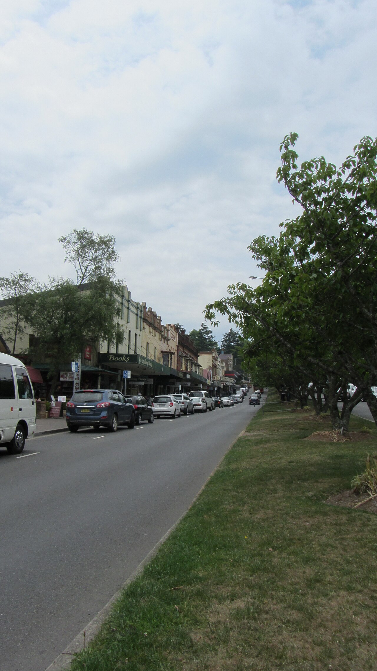 Charming village street with boutique shops and leafy trees